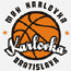 https://img.shxinyuan.com/img/basketball/team/0c2f73d2ab7041cf90029a20deff7f17.gif