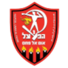 https://img.shxinyuan.com/img/football/team/0db06bd7ec6e2d578b836885d675b6d1.png