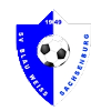 https://img.shxinyuan.com/img/football/team/1cde488d47b598d2eed91775e6786258.png