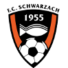 https://img.shxinyuan.com/img/football/team/488370880779534e48b5b2d5243fb6f6.png