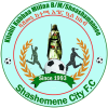 https://img.shxinyuan.com/img/football/team/60f0ae6ca99d8e6d201d0513bd0511f2.png