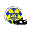 https://img.shxinyuan.com/img/football/team/687444da1c62a4654239ed1614216575.png