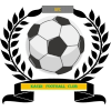 https://img.shxinyuan.com/img/football/team/6dc6d59af2f0962597b412473a6708ee.png