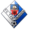 https://img.shxinyuan.com/img/football/team/9bbddc3094f6c80a766e3c3eea4e5876.png